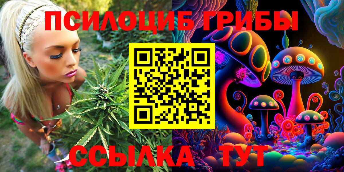 Галлюциногенные грибы Magic Shrooms  Вход с VPN  Кашира  Галлюциногенные грибы MAGIC MUSHROOMS 